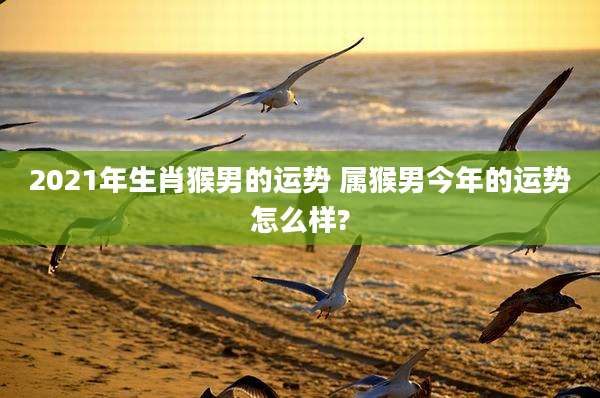 2021年生肖猴男的运势 属猴男今年的运势怎么样?