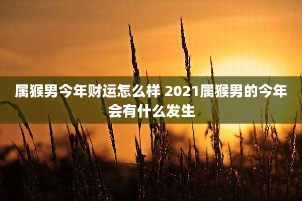 属猴男今年财运怎么样 2021属猴男的今年会有什么发生