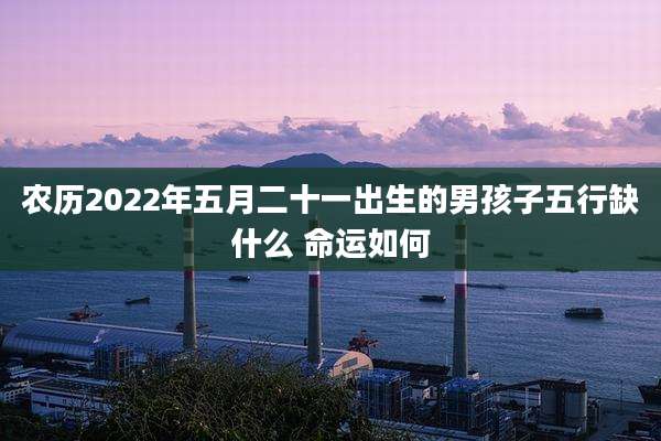 农历2022年五月二十一出生的男孩子五行缺什么 命运如何