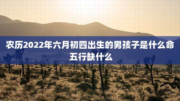 农历2022年六月初四出生的男孩子是什么命 五行缺什么