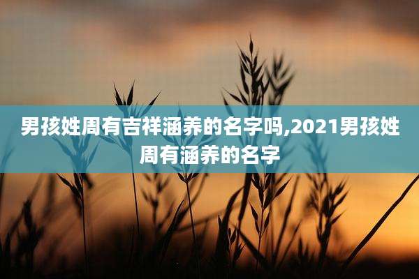 男孩姓周有吉祥涵养的名字吗,2021男孩姓周有涵养的名字