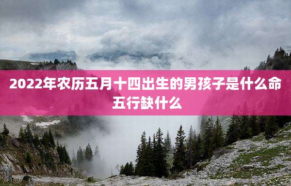 2022年农历五月十四出生的男孩子是什么命 五行缺什么