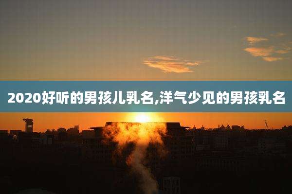 2020好听的男孩儿乳名,洋气少见的男孩乳名