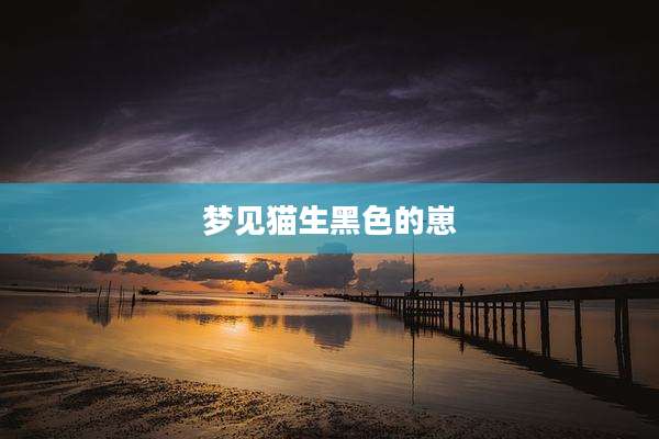 梦见猫生黑色的崽