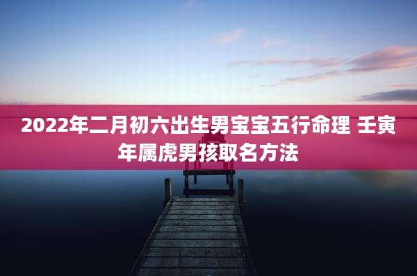 2022年二月初六出生男宝宝五行命理 壬寅年属虎男孩取名方法