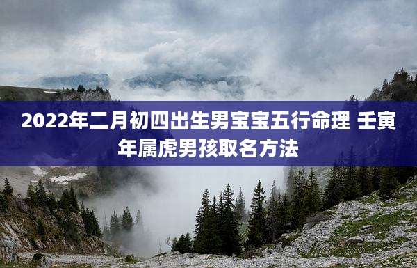 2022年二月初四出生男宝宝五行命理 壬寅年属虎男孩取名方法