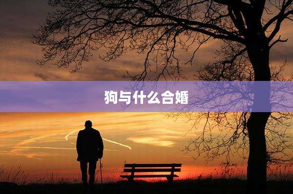 狗与什么合婚
