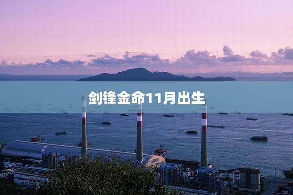 剑锋金命11月出生