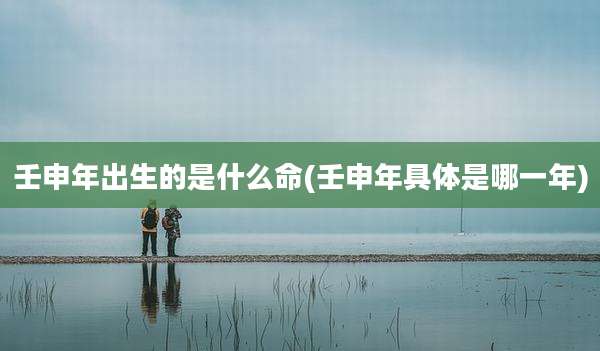 壬申年出生的是什么命(壬申年具体是哪一年)