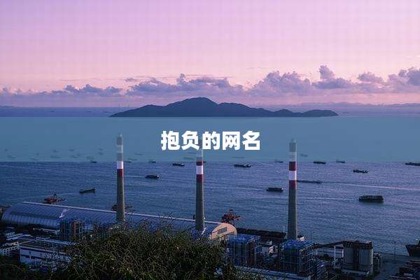 抱负的网名
