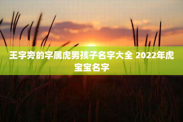 王字旁的字属虎男孩子名字大全 2022年虎宝宝名字