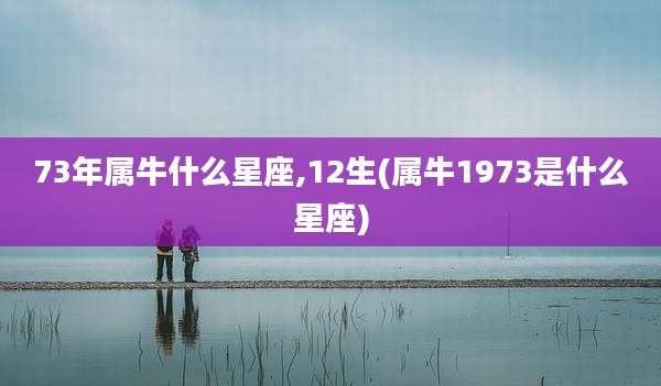 73年属牛什么星座,12生(属牛1973是什么星座)