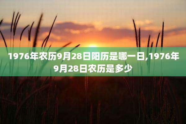 1976年农历9月28日阳历是哪一日,1976年9月28日农历是多少