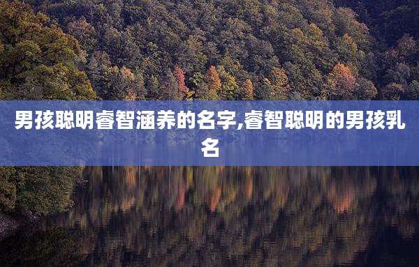 男孩聪明睿智涵养的名字,睿智聪明的男孩乳名