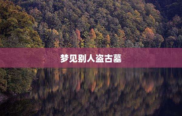 梦见别人盗古墓
