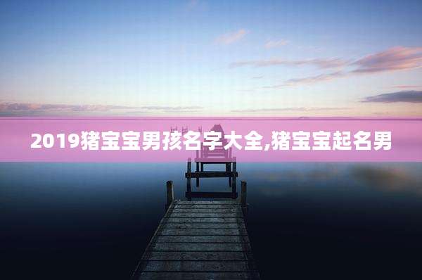 2019猪宝宝男孩名字大全,猪宝宝起名男