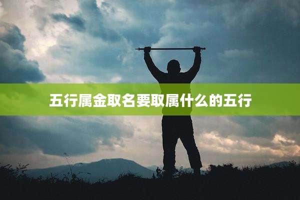 五行属金取名要取属什么的五行