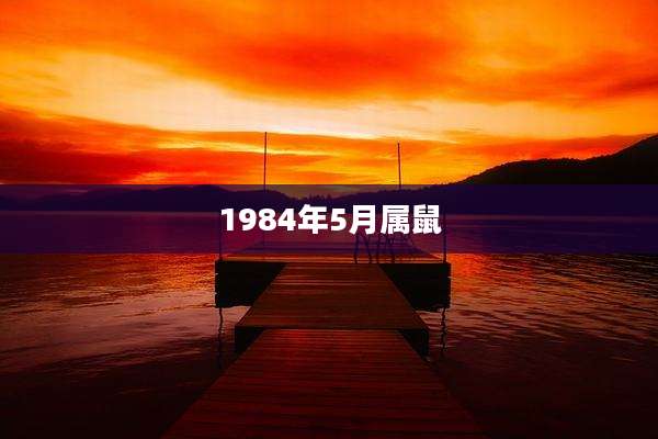 1984年5月属鼠