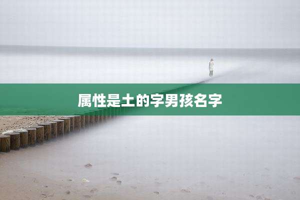 属性是土的字男孩名字
