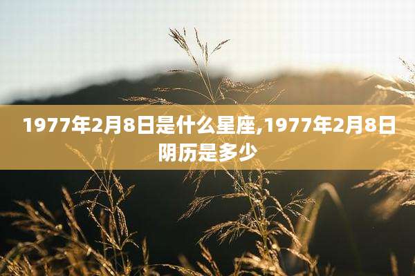 1977年2月8日是什么星座,1977年2月8日阴历是多少