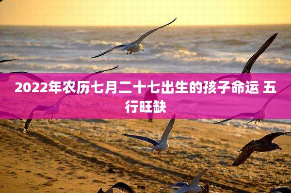 2022年农历七月二十七出生的孩子命运 五行旺缺