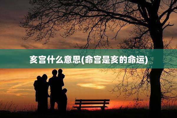 亥宫什么意思(命宫是亥的命运)