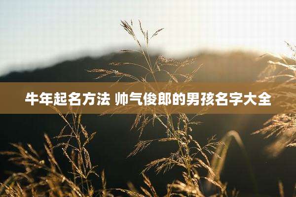 牛年起名方法 帅气俊郎的男孩名字大全
