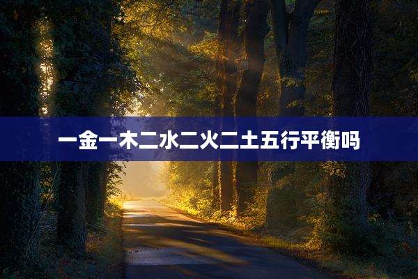 一金一木二水二火二土五行平衡吗