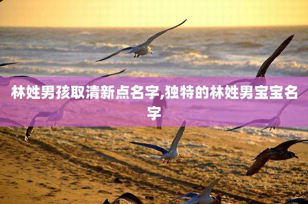 林姓男孩取清新点名字,独特的林姓男宝宝名字