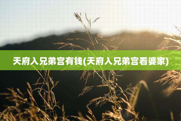 天府入兄弟宫有钱(天府入兄弟宫看婆家)