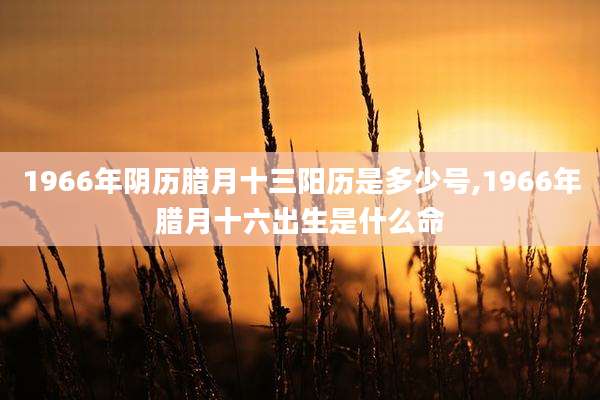 1966年阴历腊月十三阳历是多少号,1966年腊月十六出生是什么命