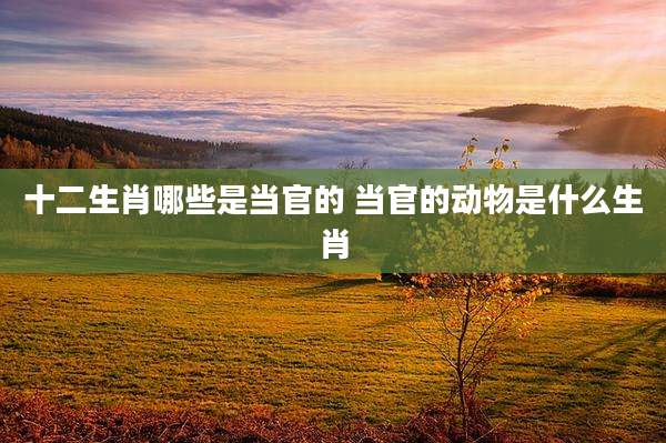 十二生肖哪些是当官的 当官的动物是什么生肖