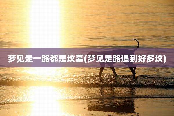 梦见走一路都是坟墓(梦见走路遇到好多坟)