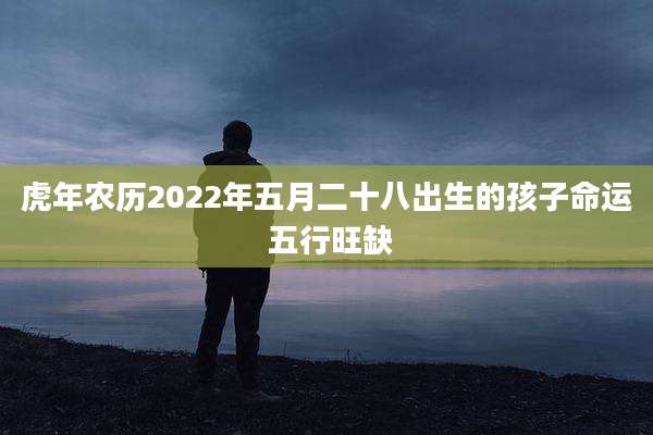 虎年农历2022年五月二十八出生的孩子命运 五行旺缺