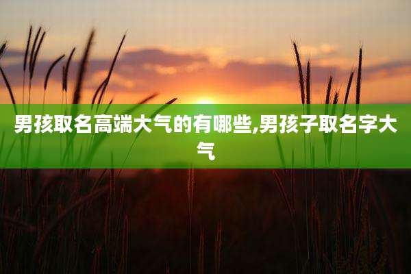 男孩取名高端大气的有哪些,男孩子取名字大气