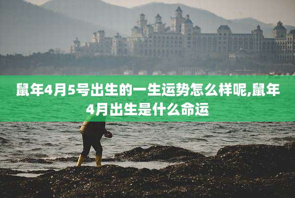 鼠年4月5号出生的一生运势怎么样呢,鼠年4月出生是什么命运