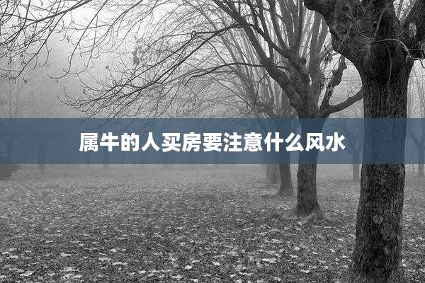 属牛的人买房要注意什么风水