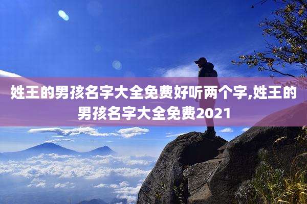 姓王的男孩名字大全免费好听两个字,姓王的男孩名字大全免费2021
