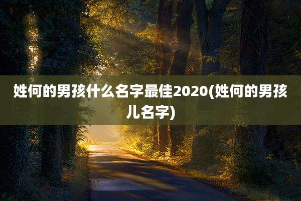 姓何的男孩什么名字最佳2020(姓何的男孩儿名字)