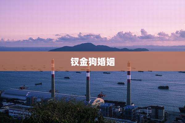钗金狗婚姻