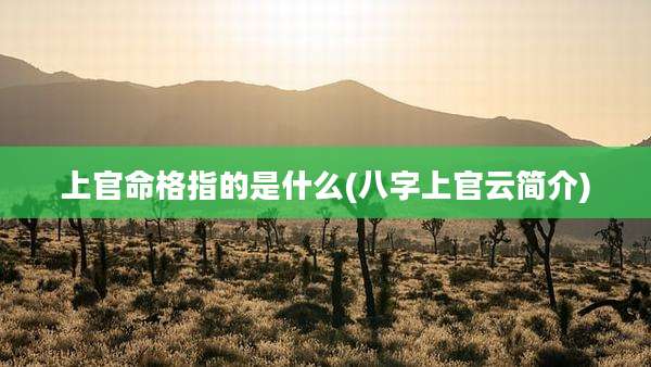 上官命格指的是什么(八字上官云简介)