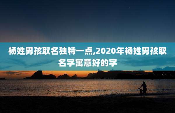 杨姓男孩取名独特一点,2020年杨姓男孩取名字寓意好的字