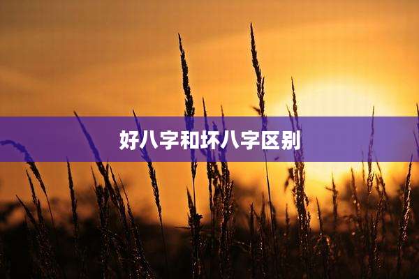 好八字和坏八字区别