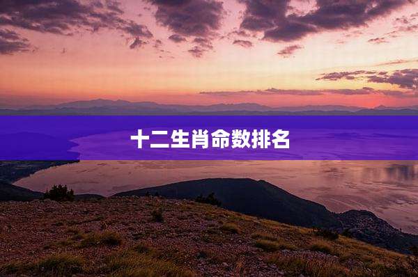 十二生肖命数排名