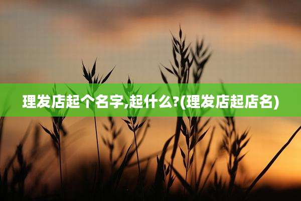 理发店起个名字,起什么?(理发店起店名)