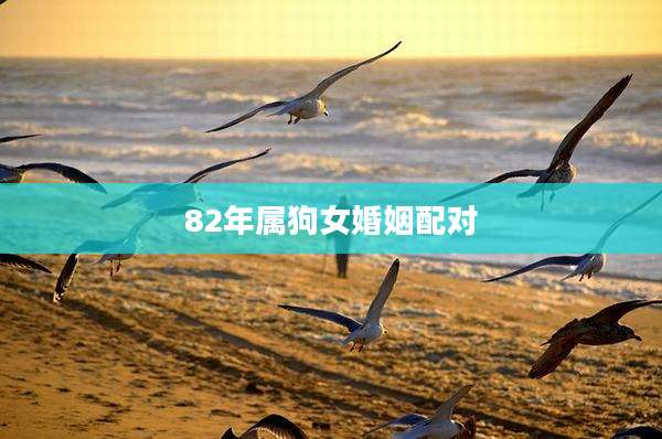 82年属狗女婚姻配对