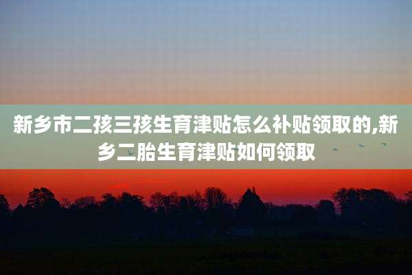 新乡市二孩三孩生育津贴怎么补贴领取的,新乡二胎生育津贴如何领取