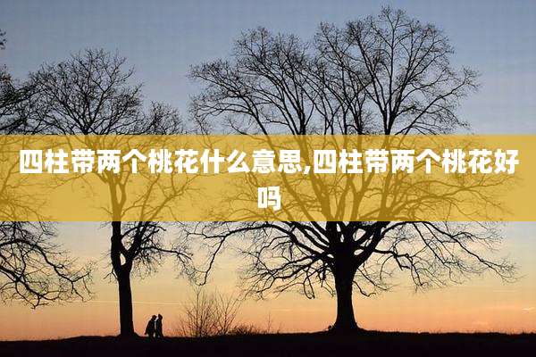 四柱带两个桃花什么意思,四柱带两个桃花好吗