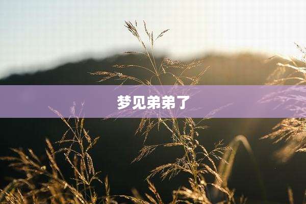 梦见弟弟了