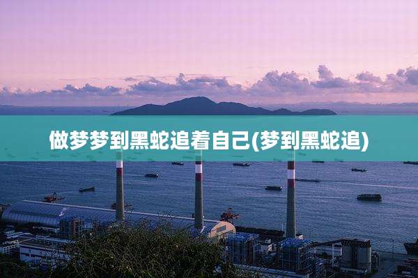 做梦梦到黑蛇追着自己(梦到黑蛇追)